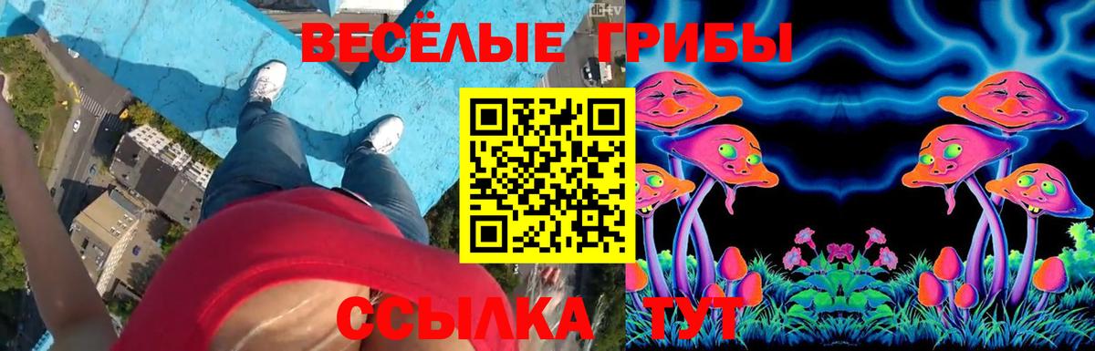Галлюциногенные грибы GOLDEN TEACHER Сергиев Посад